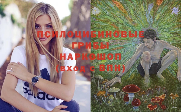 ALPHA PVP Алексин