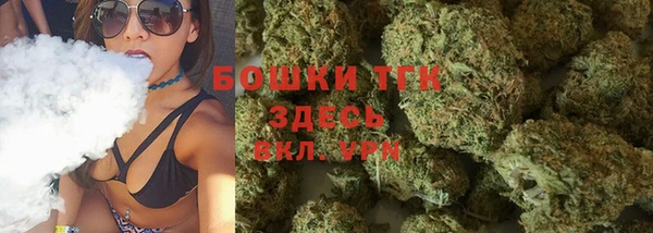 PSILOCYBIN Алзамай
