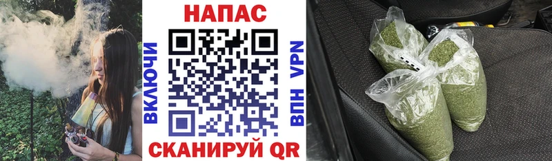 MEGA сайт  Данилов  Марихуана гибрид 
